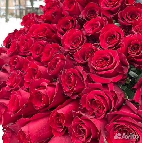 101 Роза Цветы Букеты 51 25 Роз Доставка