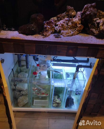 Морские аквариумы на заказ