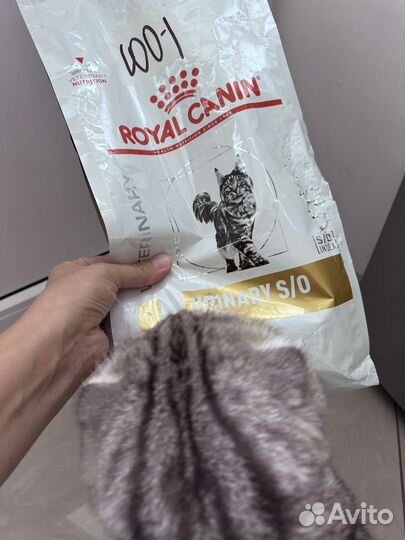 Сухой корм для кошек royal canin urinary S/O