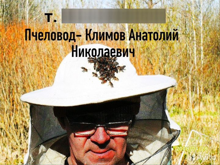 Пчелы.Пчелосемьи карника и карпатка. матки 2024 г