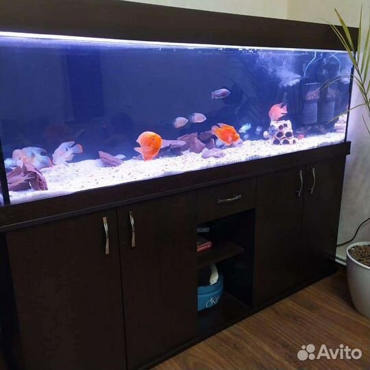 Аквариум с тумбой 500 литров