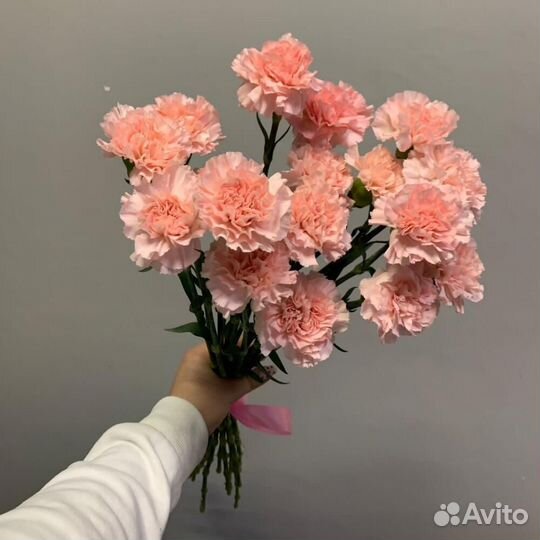 Цветы гвоздика опт