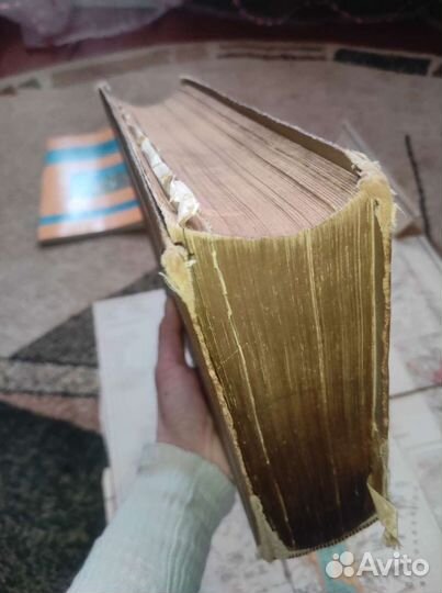 Святая Земля и Библия д-ра Гейки