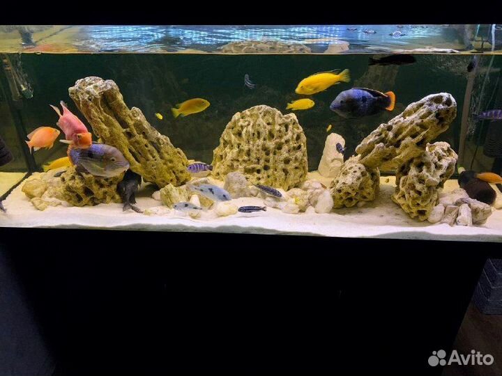 Камни песчаник для аквариума / грот меотис