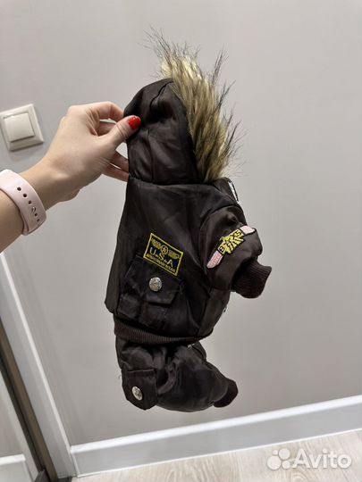 Одежда для маленьких собак чихуа