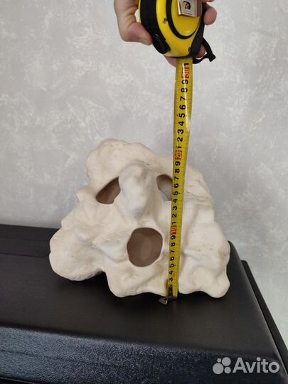 Декор для аквариума