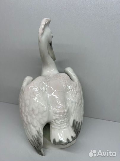 Птица Пеликан лфз