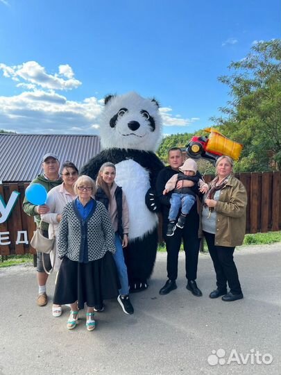 Панда поздравление/ Ростовая кукла панда/Аниматор