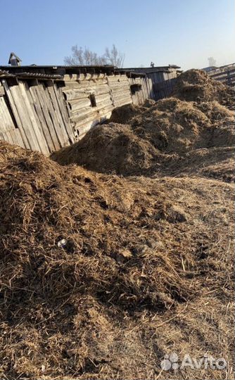 Конский перегной, навоз