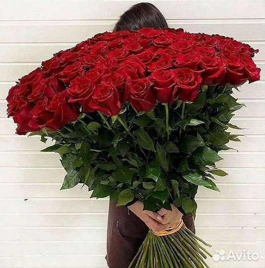 101 роза цветы букеты доставка 25 51 101 роза