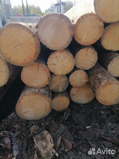 Продам лес кругляк