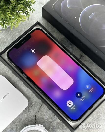 iPhone 12 Pro Max, 256 ГБ