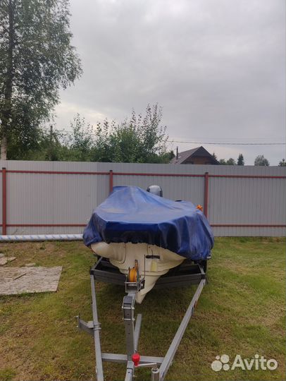 Риб фортис 460z