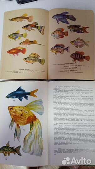 Книги по аквариумистике