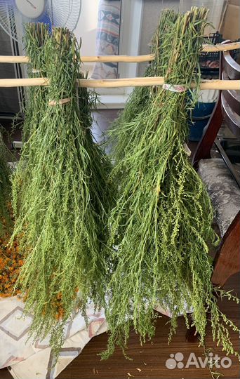 Разные травы