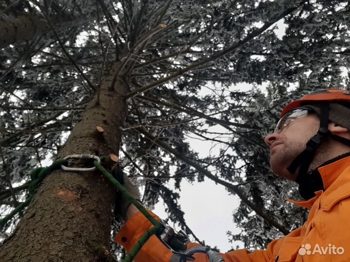 Спилить дерево, удаление веток, расчистка участка
