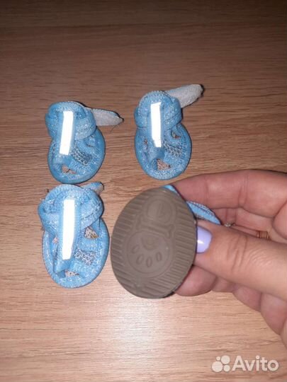 Обувь для собак мелких пород