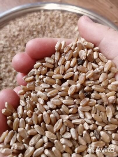 Мельница для муки