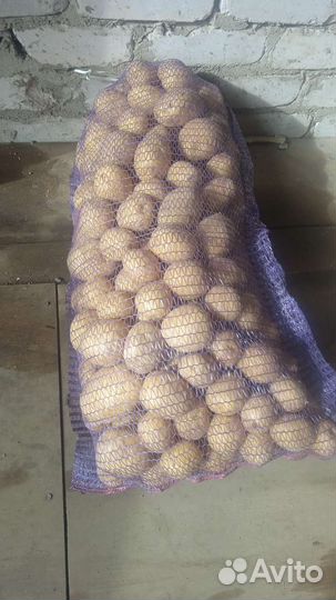 Картофель с бесплатной доставкой