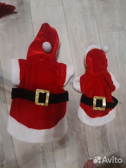 Одежда для маленьких собак