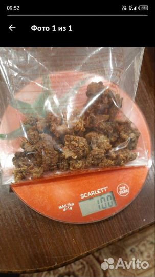 Мёд вкусный, прополис