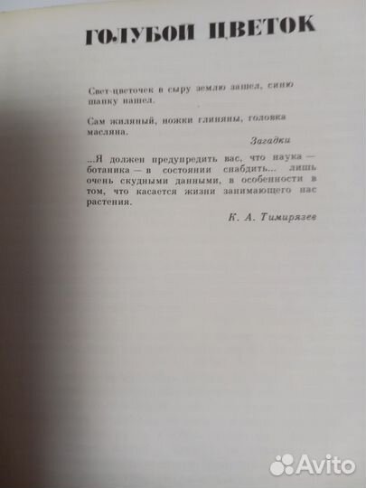 В. Степаненко. Сказ о голубом цветке