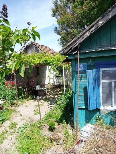 Дом 24 м² на участке 4 сот.
