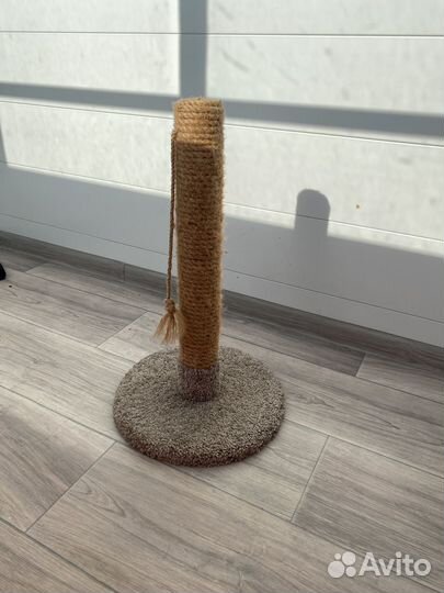 Когтеточка