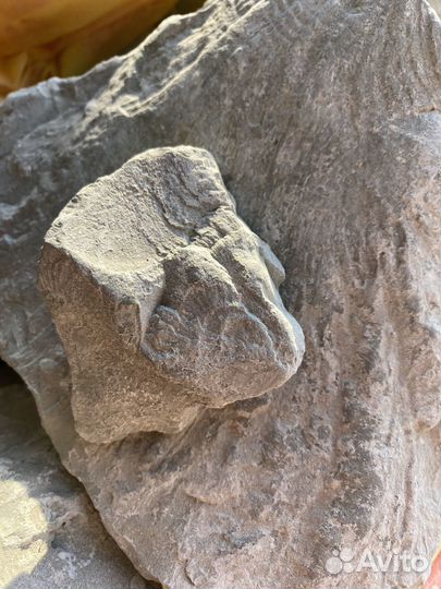 Глина пищевая