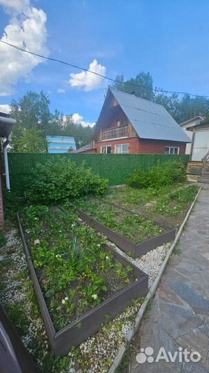 Зелёный забор - высота 1,5 метра