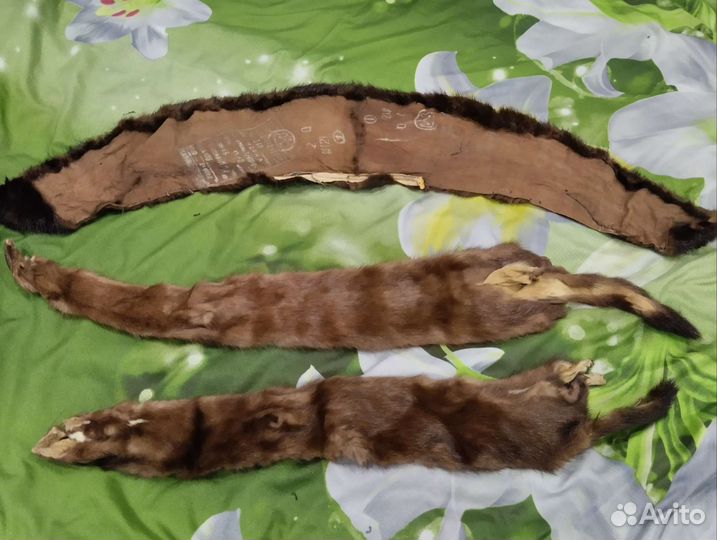 Шкурка животного норки