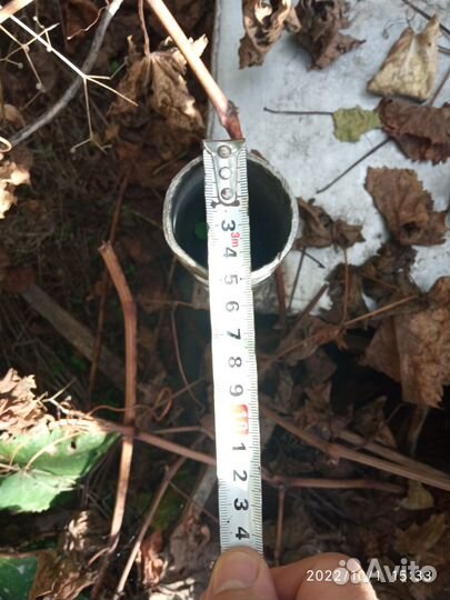 Бак нержавейка 440 литров