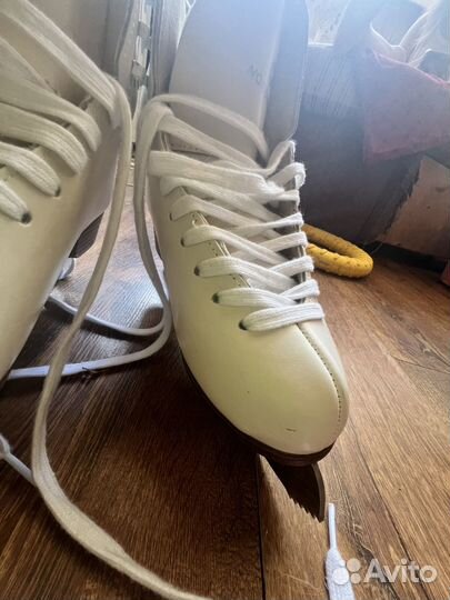 Коньки nordway anna 37р 23см