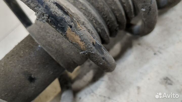 Амортизатор подвески Mazda Premacy, 2003