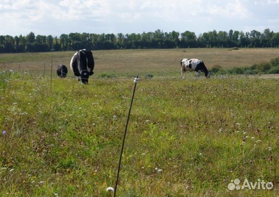 Элетропастух в сборе