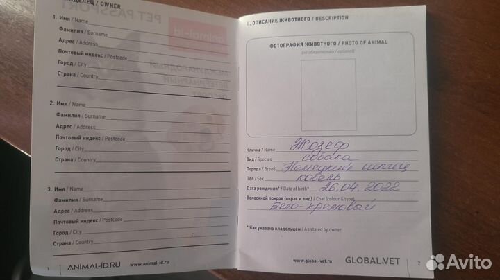 Вязка, шпиц