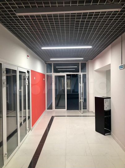 Торговая площадь, 341.4 м²