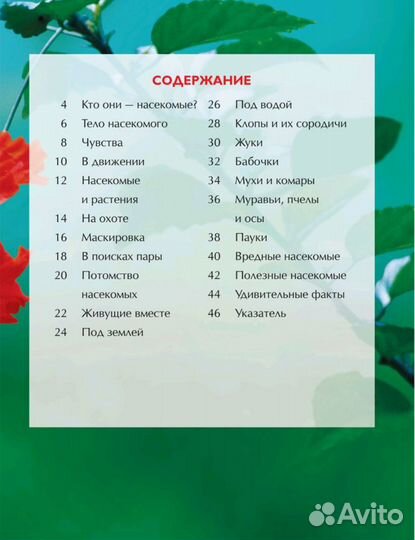 Энциклопедия 