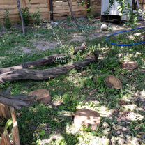 Участок 28 сот. (ИЖС), Курск