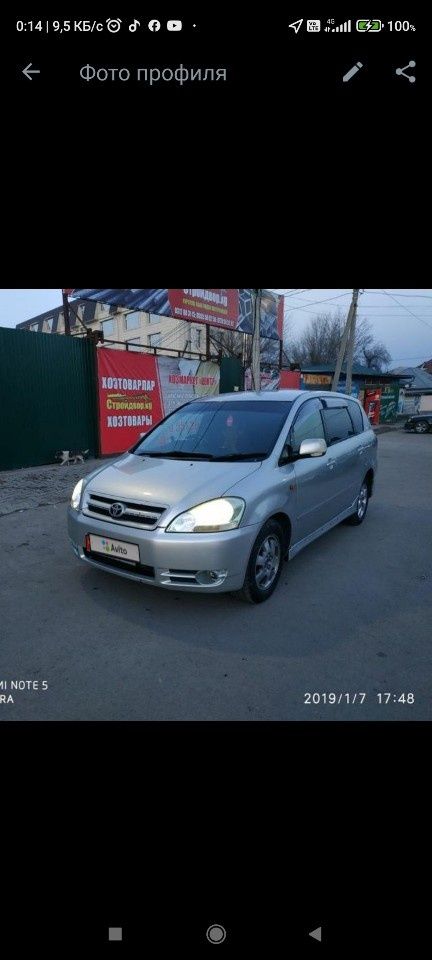 Toyota Ipsum: фото владельца