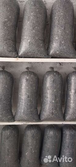 Грибные блоки вешенка