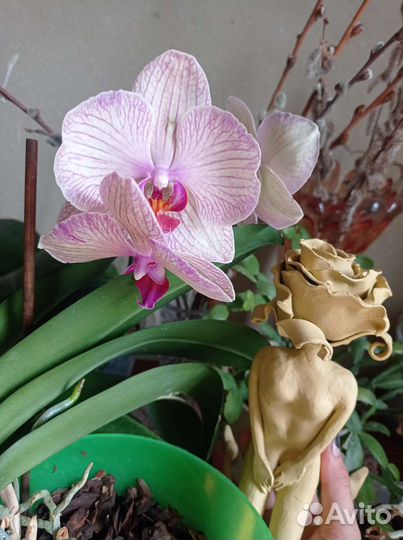 Изготовление скульптур из металла