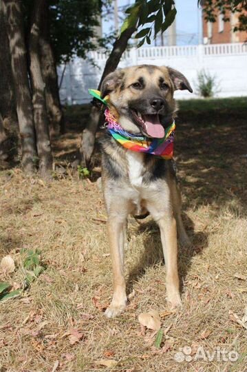 Не хочу замерзнуть зимой