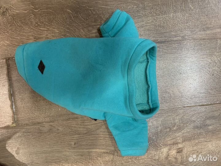 Одежда и амуниция для собак