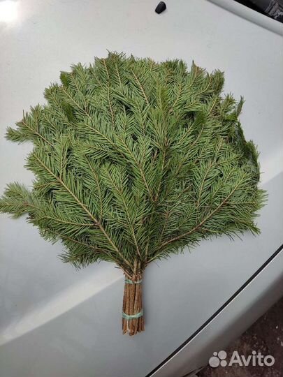 Веники для бани, берёза, пихта, травы