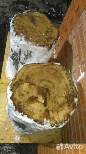 Пеньки дубовые