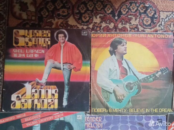 Виниловые пластинки