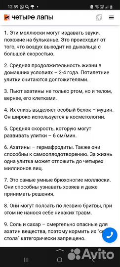 Улитки ахатины