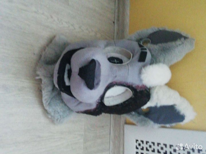 Фурсьют собаки/волка