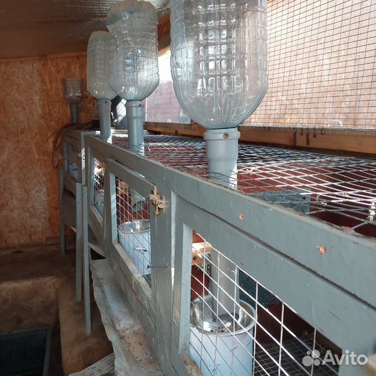 Клетка для кроликов